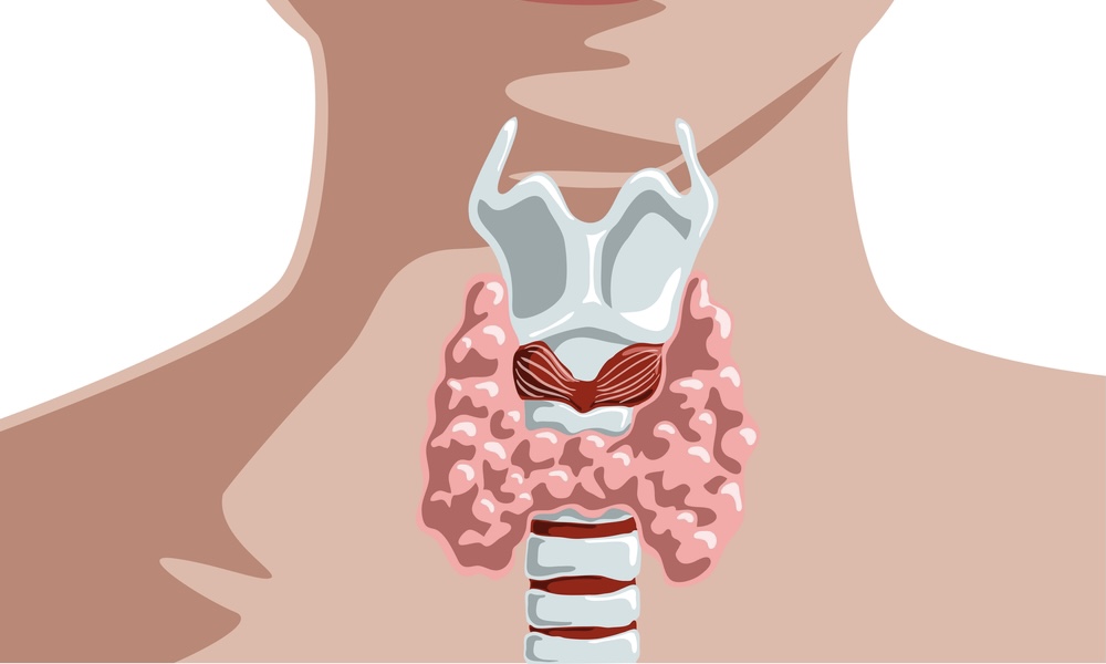 Щитовидная железа: если рекомендовали операцию