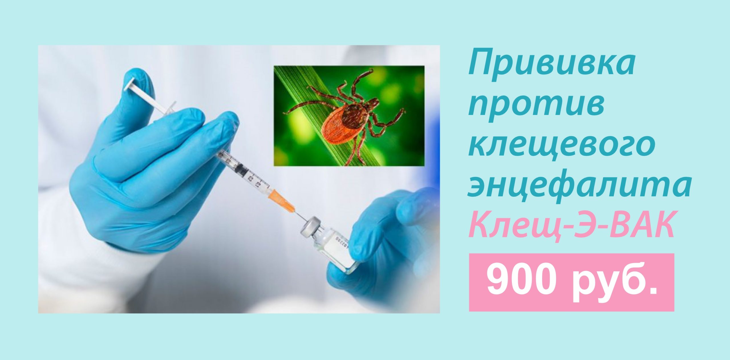 Прививка От Клещевого Энцефалита Омск Цена